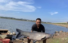 Câu được cá trắm đen 'khủng' hơn 36kg ở hồ nước đẹp nhất Buôn Ma Thuột