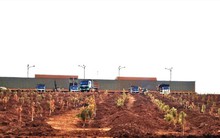 Kẹt giữa kho báu bô xít - Kỳ cuối: Tỉnh loay hoay vì vượt thẩm quyền