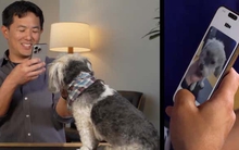 Cuộc đua AI "đa giác quan": Khi trí tuệ nhân tạo đã có thể "nghe" và "nhìn" con người