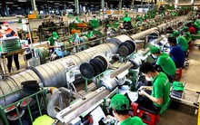 Việt Nam - ngôi sao mới của Ấn Độ Dương - Thái Bình Dương