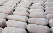 Giá heo hơi vào "sóng" tăng sắp chạm mốc 70.000 đồng/kg, nhiều "ông lớn" đua nhau tái đàn