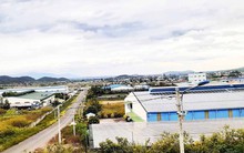 Giao dịch bất động sản ở Lâm Đồng giảm mạnh