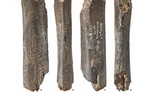 Sốc với tác phẩm nghệ thuật 130.000 năm của loài người khác