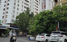 TP HCM: Cưỡng chế sai phạm tại Chung cư Thái An 3 & 4