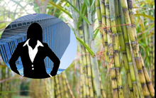 Chân dung cụ bà lớn tuổi nhất trên sàn chứng khoán Việt, cổ đông lớn của một loạt doanh nghiệp nổi tiếng