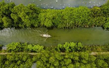 Phát hiện điểm du lịch sông nước độc lạ tại thành phố biển, du khách ca ngợi như một “miền Tây thu nhỏ"