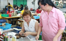 Đủ tuổi nhưng chưa đủ năm tham gia BHXH, cách nào để có lương hưu?