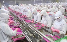 Xuất siêu nông lâm thủy sản tăng 71,5%