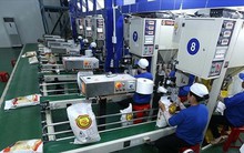 Sẽ đảm bảo nhu cầu xuất khẩu hơn 8 triệu tấn gạo