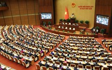 Quốc hội bầu Chủ tịch nước, Chủ tịch Quốc hội, phê chuẩn thành viên Hội đồng Quốc phòng và An ninh