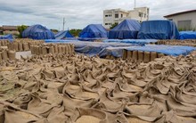 Xuất khẩu 8 triệu tấn mỗi năm nhưng Việt Nam cũng sắp trở thành nhà nhập khẩu lớn thứ 2 thế giới mặt hàng cực quan trọng này