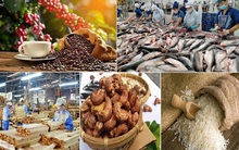 Kim ngạch xuất nhập khẩu Việt Nam tiếp tục tăng cao