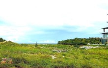 Hủy bỏ lệnh tạm dừng giao dịch tài sản liên quan Phan Văn Anh Vũ và vợ