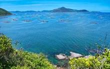 Phát hiện hòn đảo được ví như "kiệt tác thiên nhiên" ở Phú Yên, du khách không cần tàu mà có thể đi bộ ra