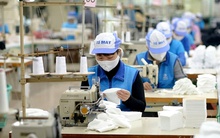 Đơn hàng dồn dập, lợi nhuận tháng 4 tăng 400%, cổ phiếu của một công ty dệt may tăng kịch trần