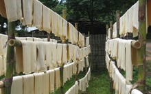 Loại cây 'đổi đời' cho người Việt được nhiều ông lớn săn đón với giá đắt đỏ: Indonesia tăng nhập khẩu hơn 200%, Việt Nam thuộc top 3 thế giới về sản lượng