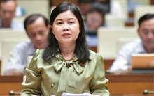 Đề xuất “luật hoá” thu phí ôtô vào nội đô TP HCM, Hà Nội