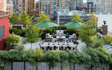 Đừng ngần ngại mua một ngôi nhà có sân thượng trên tầng cao nhất!