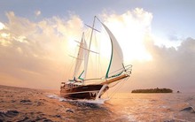 Các DN mở rộng quy mô đón chu kỳ tăng trưởng mới: Hòa Phát, Dabaco, Dược Hậu Giang, May Sông Hồng... được gọi tên