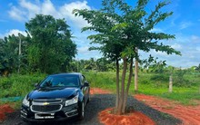 Nhà đầu tư “bấm bụng” đi vay ngân hàng, chờ giá đất lên