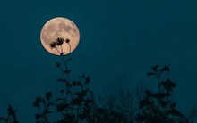 Ngắm 'Trăng hoa', trăng tròn gần một ngôi sao siêu khổng lồ đỏ