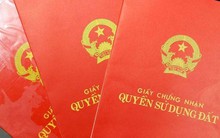 Khởi tố nữ giám đốc đưa giấy tờ nhà đất giả cho nhà đầu tư