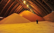 Bị hạn chế xuất khẩu, một kho báu của Nga vẫn liên tục đổ bộ vào Việt Nam với giá siêu rẻ: nhập khẩu tăng gấp 10 lần, là "cứu tinh" cho nông sản Việt