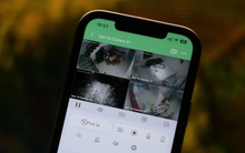 Nóng: Tin tặc rao bán quyền truy cập hàng trăm nghìn camera tại Việt Nam, nhiều nguy cơ lộ clip nhạy cảm!