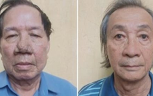 Khởi tố nguyên Tổng giám đốc Tập đoàn Công nghiệp Cao su Việt Nam Lê Quang Thung