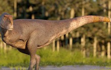 Phát hiện "sát thủ không tay" - loài quái thú mới ở Nam Mỹ