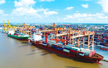 Một thành viên của Tổng Công ty Hàng hải chuẩn bị trả cổ tức tiền mặt cao kỷ lục