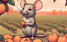 Dự báo tử vi tháng 5 Âm lịch: 4 con giáp tránh được thị phi lẫn rắc rối, tiền tài tràn về như vũ bão