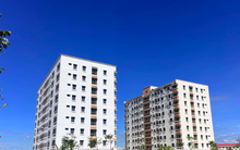 Đề xuất Luật Kinh doanh bất động sản và Luật Nhà ở 2023 có hiệu lực sớm từ 1/7