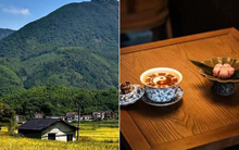 Mua nước tặng vé số, xây quán trong chuồng bò đặt giữa cánh đồng: Cách quán cafe nhỏ bé cứu mình khỏi những gã khổng lồ, giờ doanh thu tăng gấp đôi