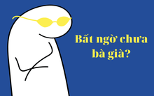 Sức mạnh của đầu tư dài hạn tại các DN: Bỏ 1 đồng, lãi 20-30 đồng, “ôm” một mã chứng khoán ăn lãi cả đời