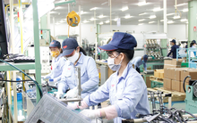 Bị cho thôi việc vì từ chối tăng ca, liệu có đúng luật?