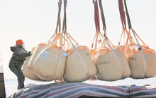 Trung Quốc cấm xuất khẩu, Nhật Bản sốt sắng tìm đến một báu vật của Việt Nam: xuất khẩu tăng 3 chữ số, nước ta thu về hàng trăm tỷ đồng