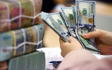 Chuyên gia nói gì về sự mất giá của VND từ đầu năm đến nay