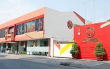 Công ty Cao su Miền Nam lên tiếng sau thông tin 2 lãnh đạo bị bắt