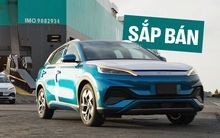 Hình ảnh này cho thấy bộ 3 xe BYD mới đã về Việt Nam: SUV, sedan, hatchback đều có, đại lý đặt lịch chạy thử tháng sau