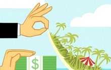 Muôn nẻo… gian lận thuế