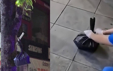 Xót xa cảnh chiếc túi nilon màu đen chứa thi thể thai nhi treo ở cây xanh bên vệ đường Hà Nội