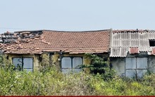 Thảm cảnh ở Cty lâm nghiệp Trà Tân: Giám đốc bị nợ lương 10 năm, trụ sở đổ nát