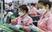 Xuất khẩu hàng hóa tăng trưởng ấn tượng