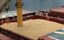 Một loạt mặt hàng Việt Nam nhập khẩu nhiều top đầu thế giới đang tăng giá mạnh, chuyện gì xảy ra?