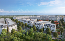 Bất ngờ phân khúc "thanh khoản khó", giá trị cao cực "kén khách" lại được Việt kiều ưa thích 