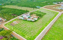 Lâm Đồng yêu cầu rà soát các dự án phân lô, bán nền tại "điểm nóng" TP. Đà Lạt và Bảo Lộc