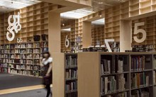 Những chuyên ngành được trả lương "tệ" nhất ở Mỹ, thấp hơn cả thu nhập bình quân đầu người: Ra trường bao năm vẫn "trắng tay"