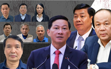 Điểm mặt các quan chức 'ngã ngựa' từ đầu năm 2024 đến nay