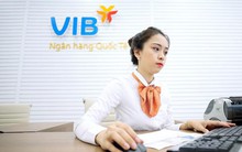Hơn 11 nghìn nhân viên VIB có thu nhập bình quân 95 triệu đồng/người trong quý 1